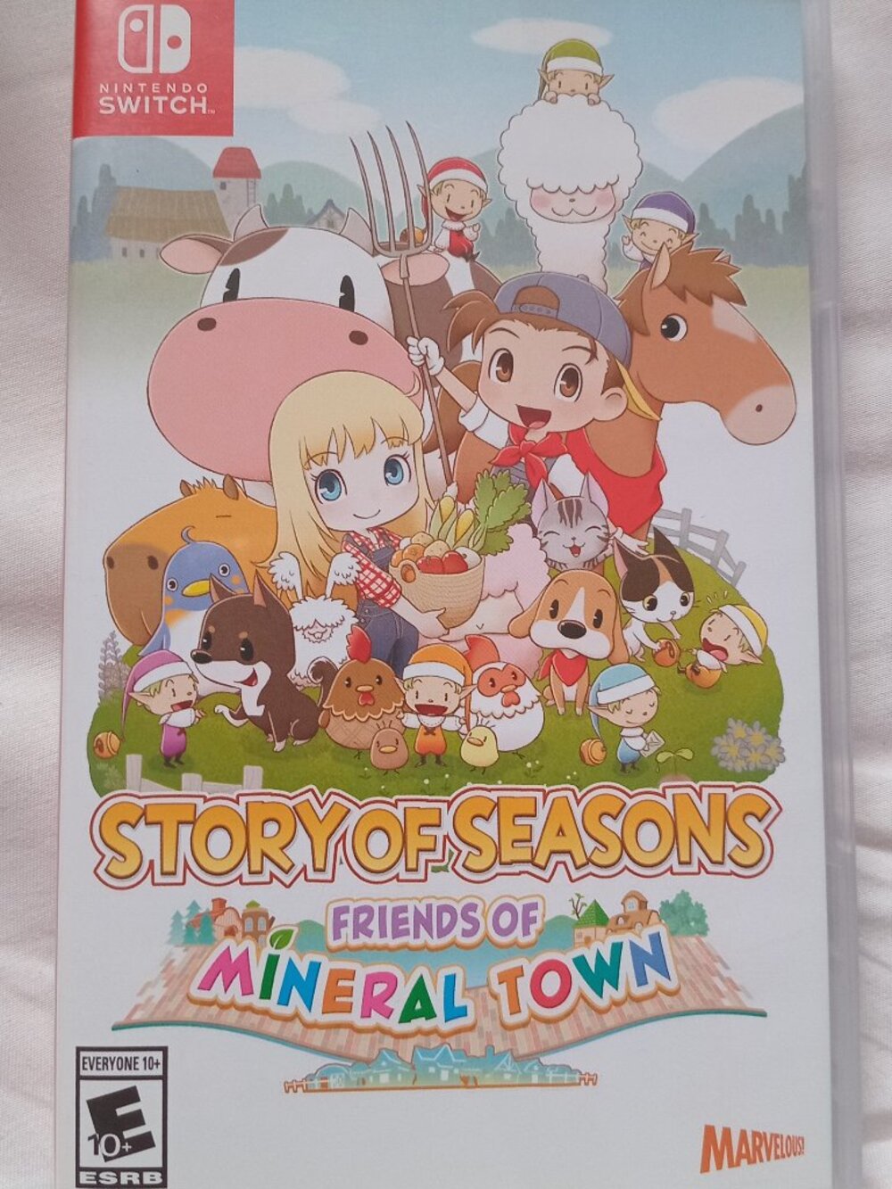 Nintendo Switch Story Of Seasons